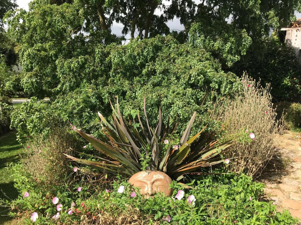 Gite "Cote Jardin" Vannecrocq Exterior photo